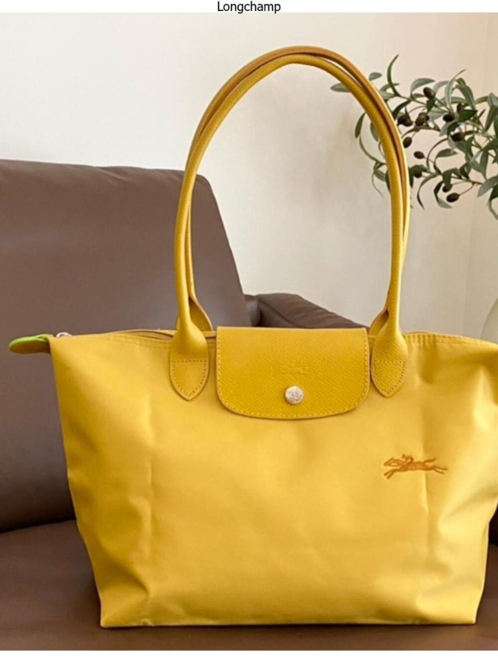 Longchamp women's bags